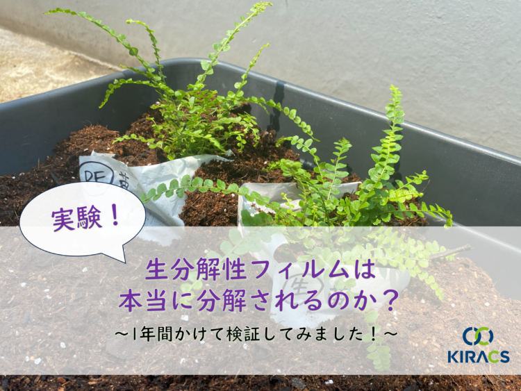 【実験】生分解性フィルムは本当に分解されるのか？1年間かけて検証してみました！